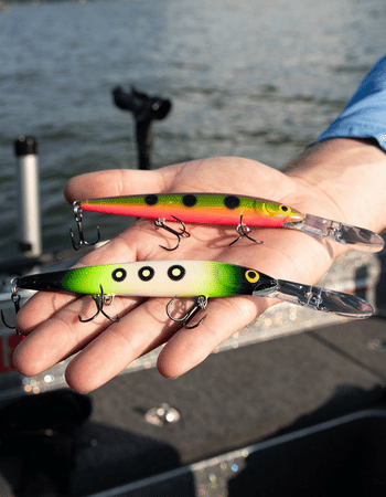 Bait and Lures