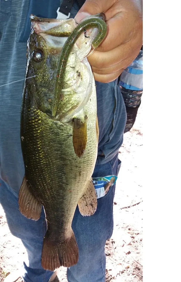 Esfishing Senko Worm