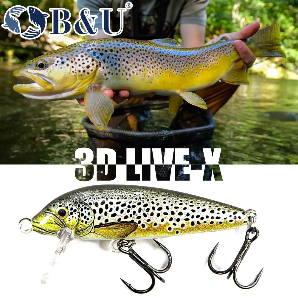 BBU Minnow Lure