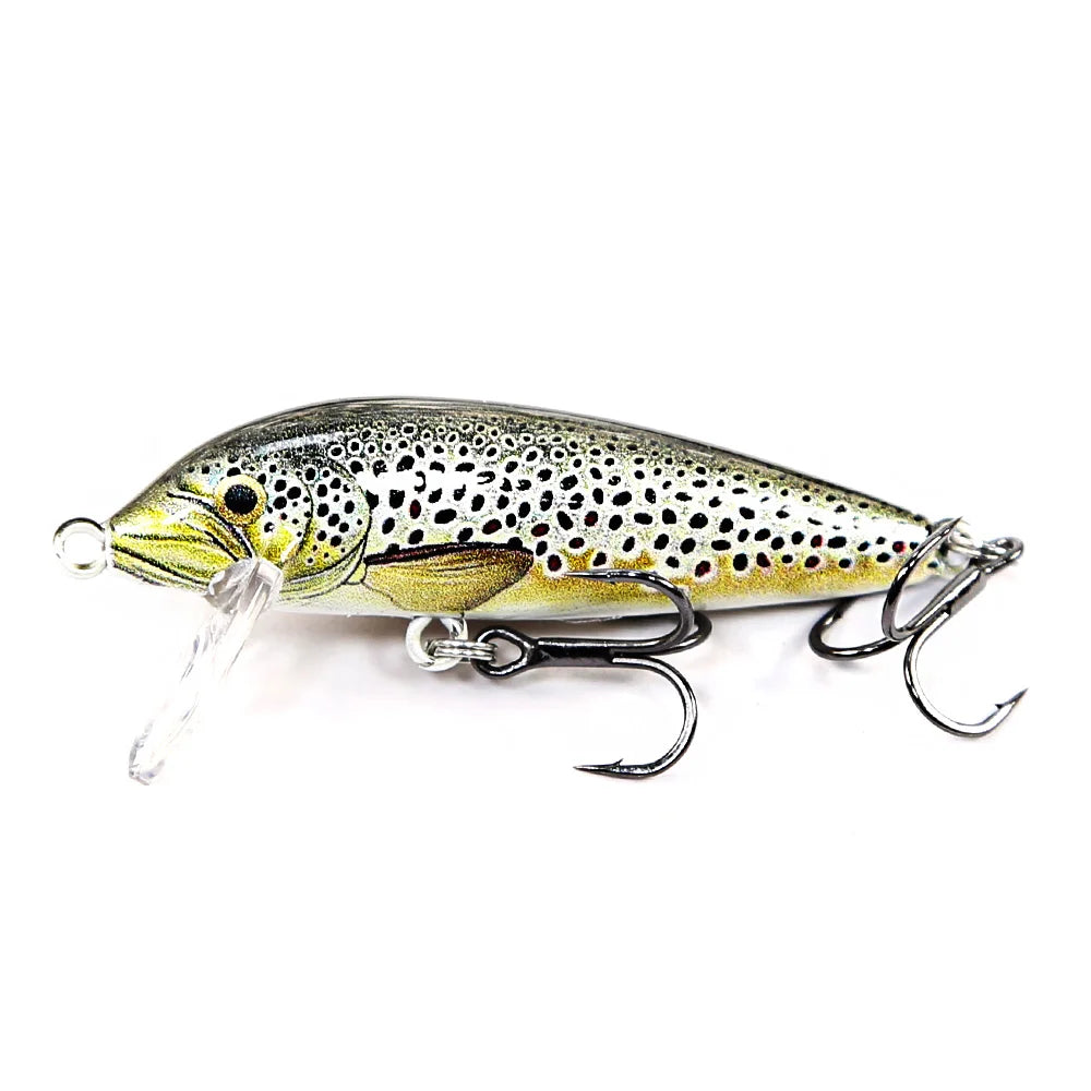 BBU Minnow Lure