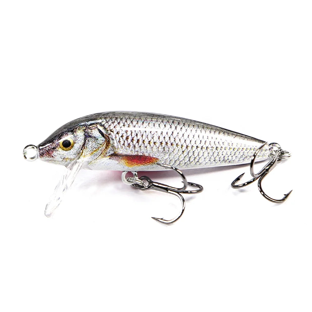 BBU Minnow Lure