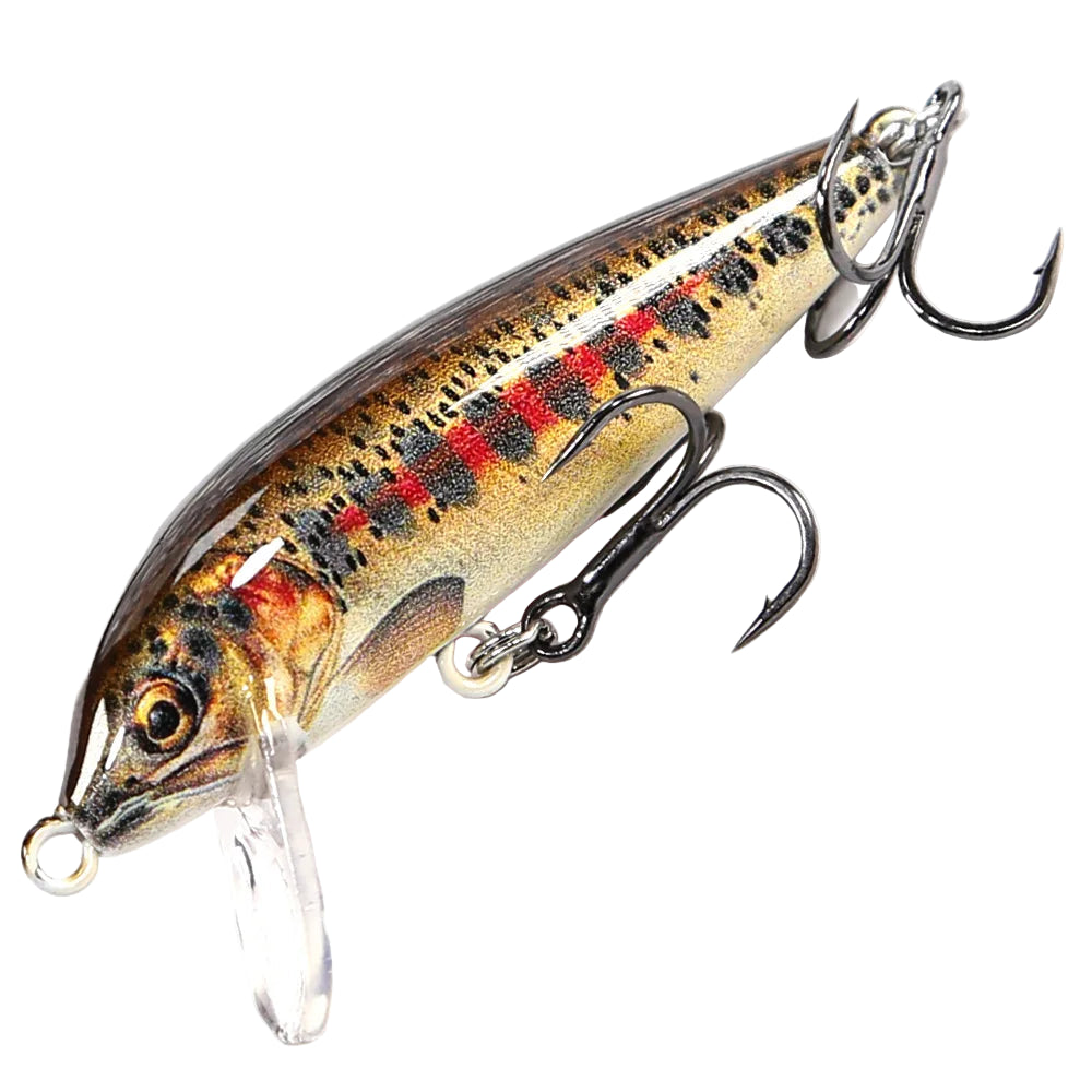 BBU Minnow Lure
