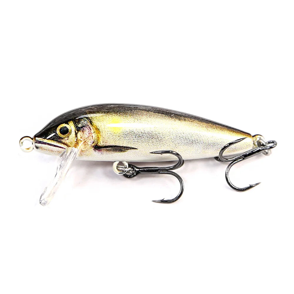 BBU Minnow Lure